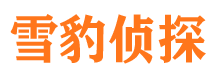 邹平市调查公司